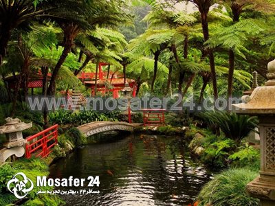 پارک بتانیک استانبول