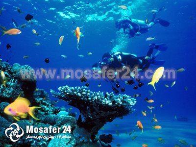 غواصی در آبهای زیبای آنتالیا