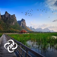 همه چیز درباره سفر به شهرهای کشور تایلند