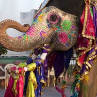 همه چیز درباره سفر به شهرهای کشور هندوستان