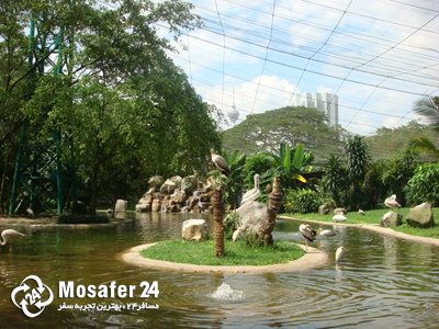 باغ پرندگان