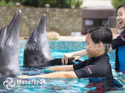 دریاچه دلفین ها