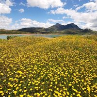 همه چیز درباره سفر به شهرهای کشور اسپانیا