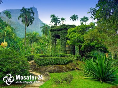 جنگل بارانی تیجوکا