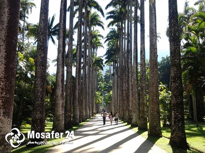 باغ گیاه شناسی