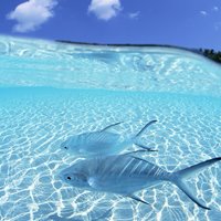 همه چیز درباره سفر به شهرهای کشور مالدیو