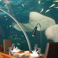 همه چیز درباره سفر به شهرهای کشور مالدیو