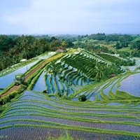 همه چیز درباره سفر به شهرهای کشور اندونزی