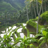 همه چیز درباره سفر به شهرهای کشور اندونزی