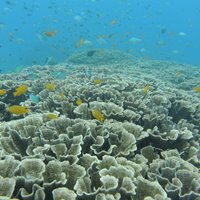 همه چیز درباره سفر به شهرهای کشور اندونزی