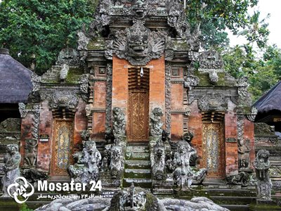 جنگل میمونها