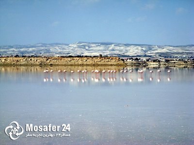 دریاچه نمک لارناکا